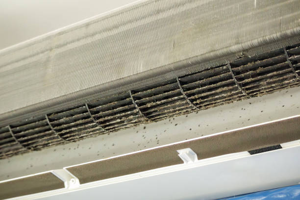 Best Affordable Duct Cleaning Services  in Washington, MO